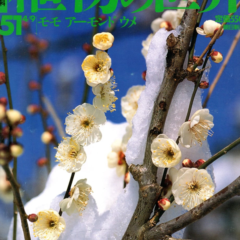 6a0485dffdfc8d5f1306b638