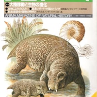 アニマ　1984年4月号