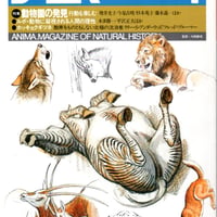 アニマ　1985年4月号