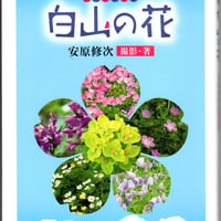 ガイドブック　白山の花