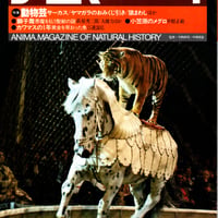 アニマ　1984年1月号