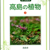 フィールドガイド　高島の植物　（上）