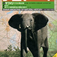アニマ　1984年7月号