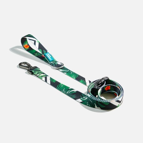 アイコニックマウイリード