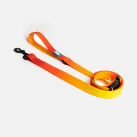 ウォータープルーサンセットリード