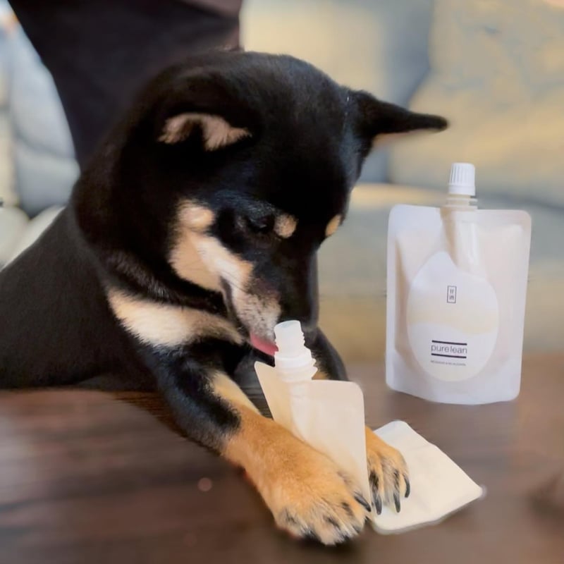 ピュアリーン甘酒プレーン100g×14本セット【冷凍品】 | purelean