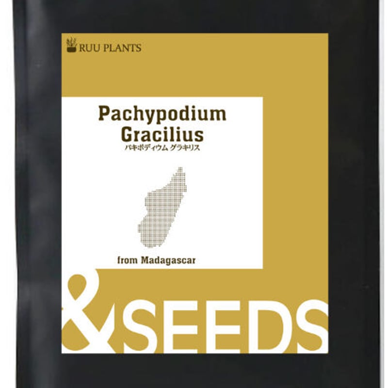 種子】パキポディウムグラキリス Pachypodium rosulatum var. gra