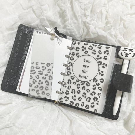 Mini6 index【leopard】
