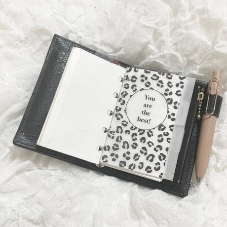 Micro5 index【leopard】