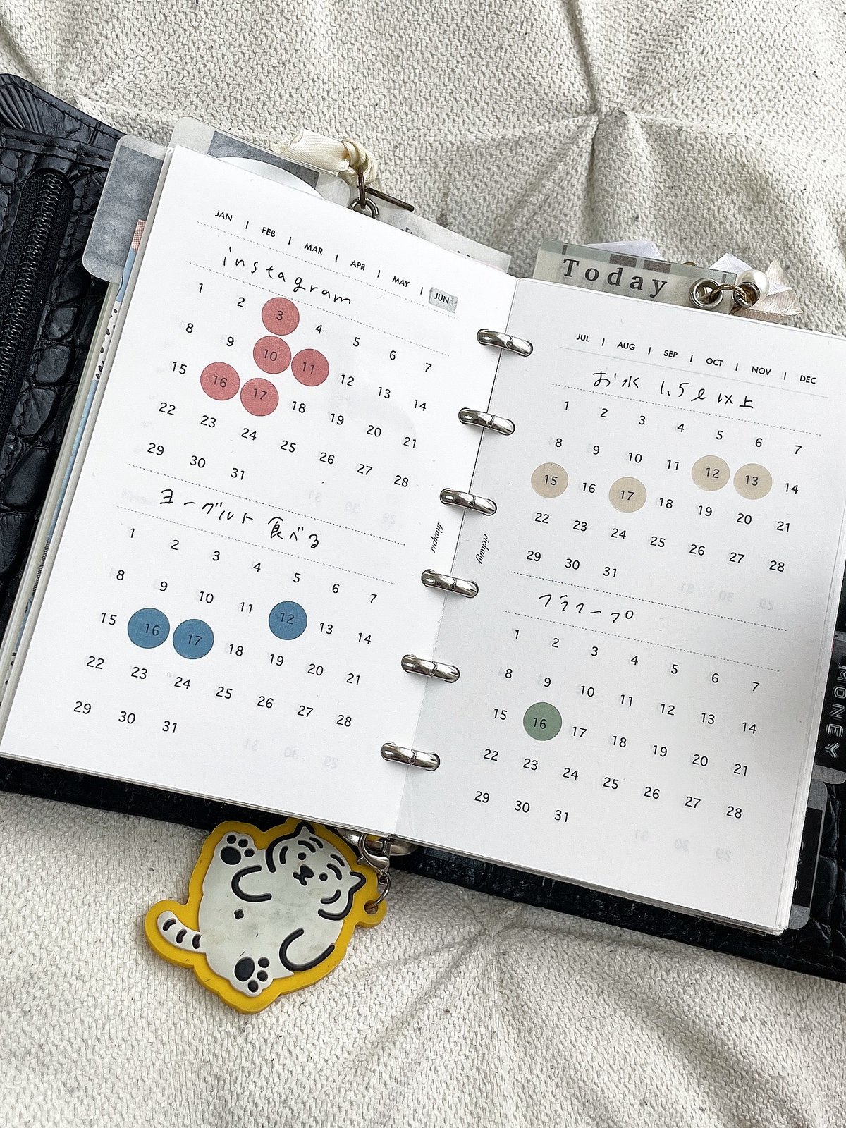 Mini6 habit tracker | richang