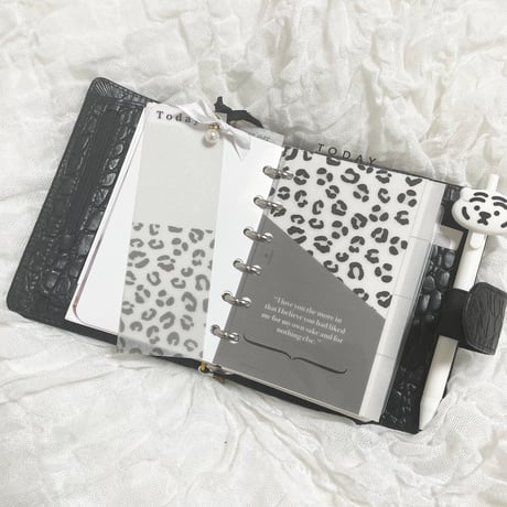 Mini6 index【leopard】