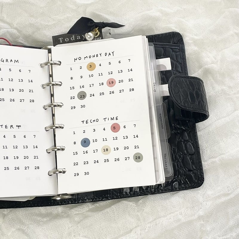 Mini6 habit tracker | richang