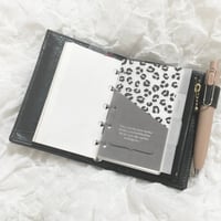 Micro5 index【leopard】