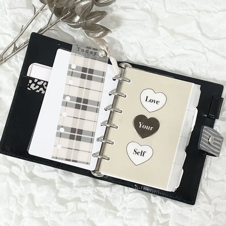 Mini6 index【Plaid】
