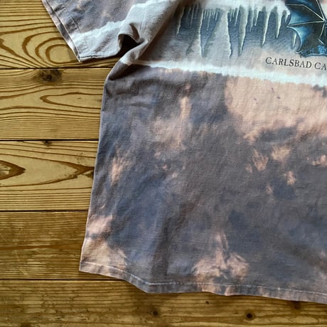 CARLSBAD CAVERNS souvenir tee