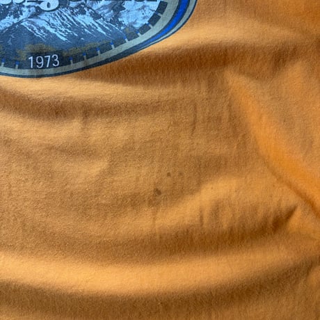 patagonia oval logo l/s tee