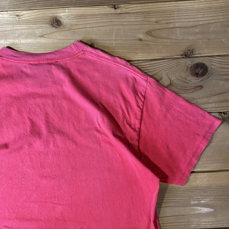 THRASHER SKATE AND DESTROY tee
