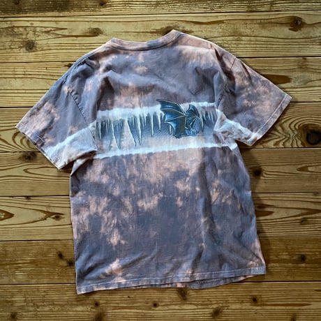 CARLSBAD CAVERNS souvenir tee