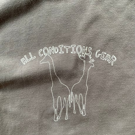 NIKE ACG animal printed tee