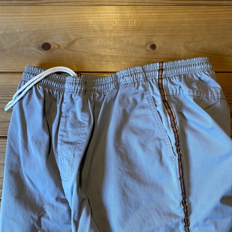 stussy beach short