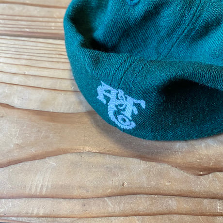 ABERCROMBIE & FITCH wappen arch logo cap