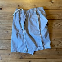 stussy beach short