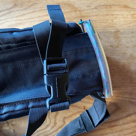 L.L.Bean by lowepro cameraman bag