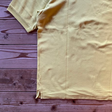 patagonia polo shirt