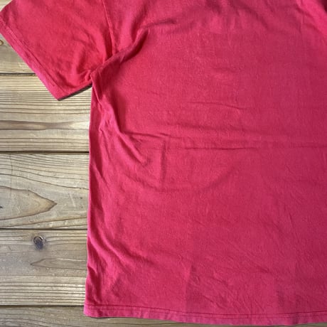 THRASHER SKATE AND DESTROY tee