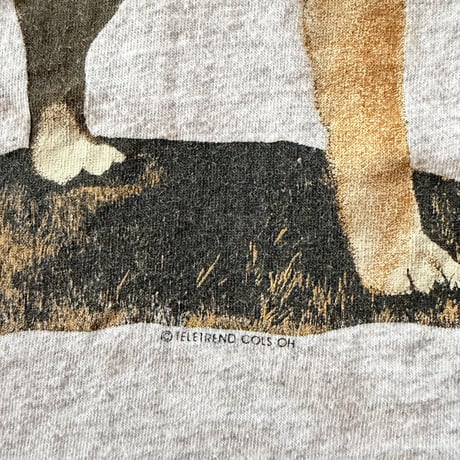 SHIBA INU tee