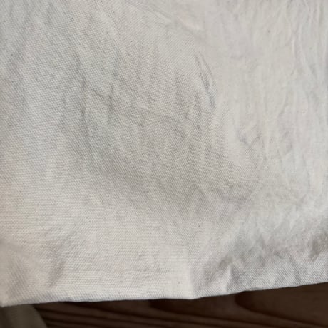 patagonia market tote