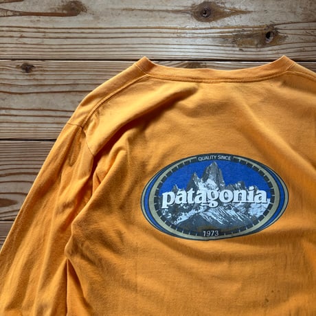 patagonia oval logo l/s tee