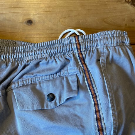stussy beach short