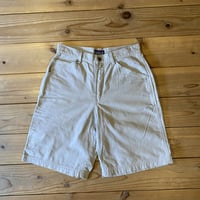 patagonia painter shorts