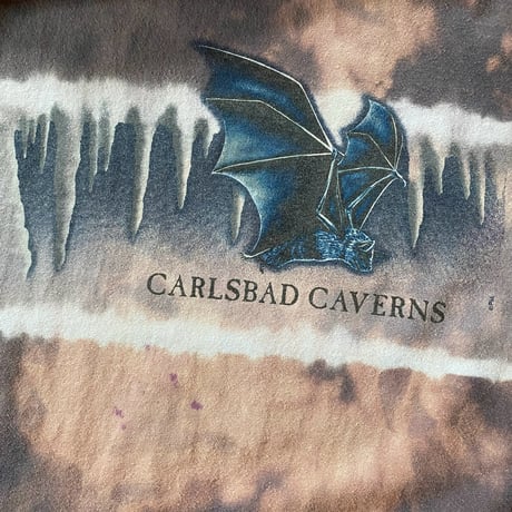 CARLSBAD CAVERNS souvenir tee