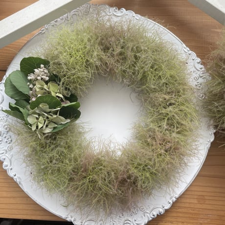 スモークツリーリース | STORES