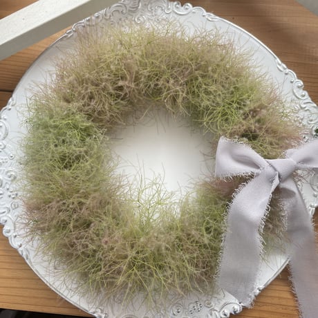 スモークツリーリース | STORES