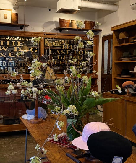 店舗 ご自宅の定期生け込み（都内限定）