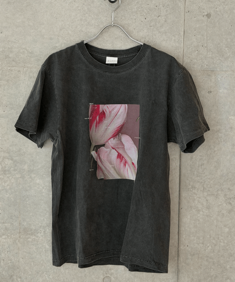 再販[Red]Tulip T-shirt 2026 Vol.1