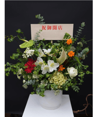 Arrangement. L