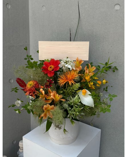 Arrangement.XL