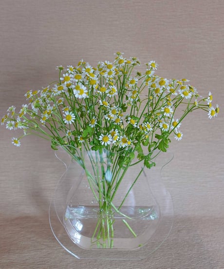 CATEGORY Flower vases | Edā STORE
