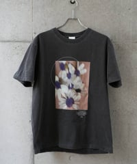 Senecio T-shirt 2026 Vol.2