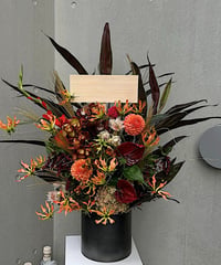 Arrangement Special
