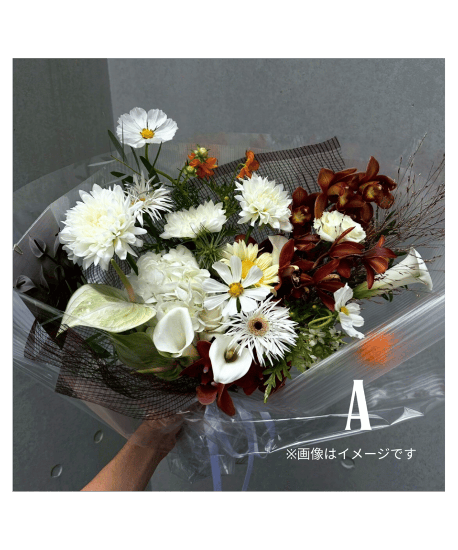 65a033680c846b0fb8bf70a4