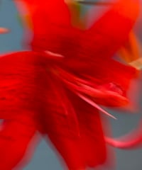 ウェディング装花のご相談