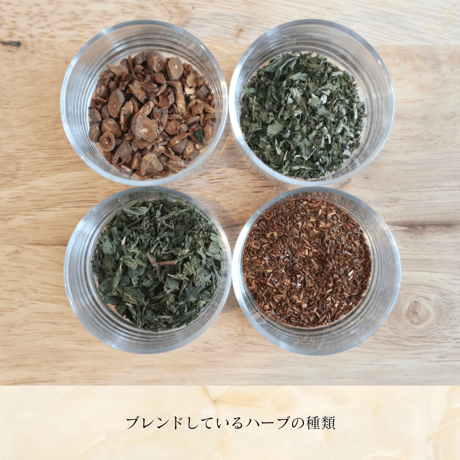 RELIEF：頼りたくなるライオン