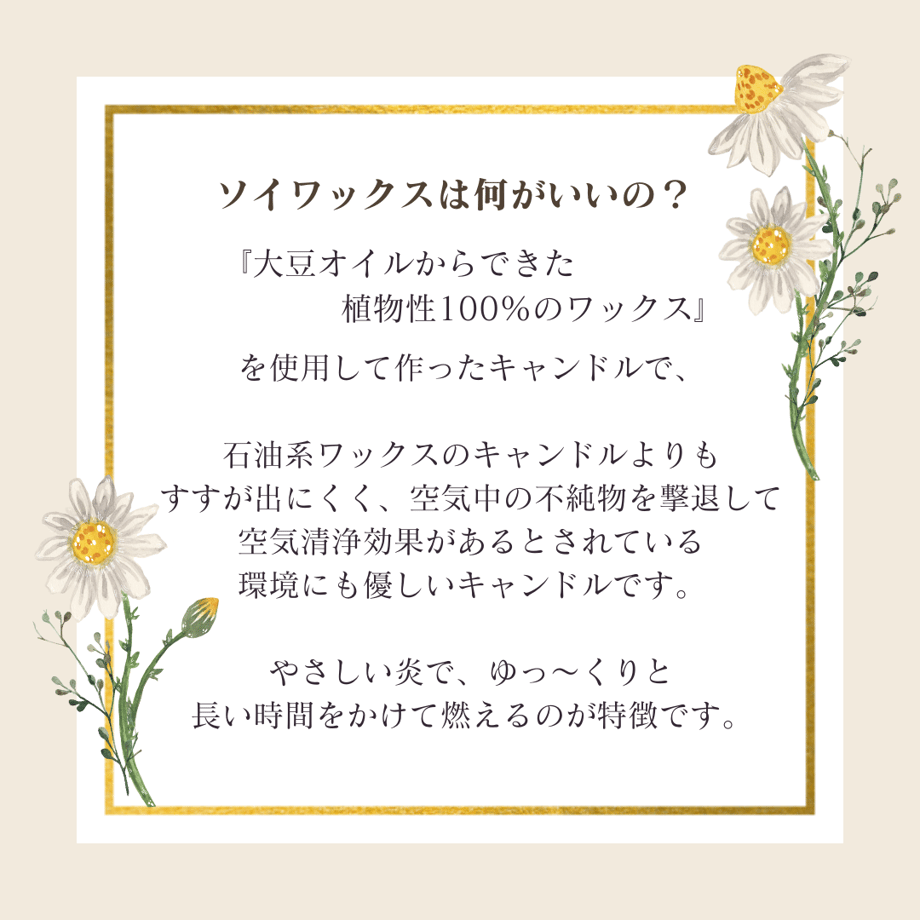 6616691f5b90ec01e1ec8d73