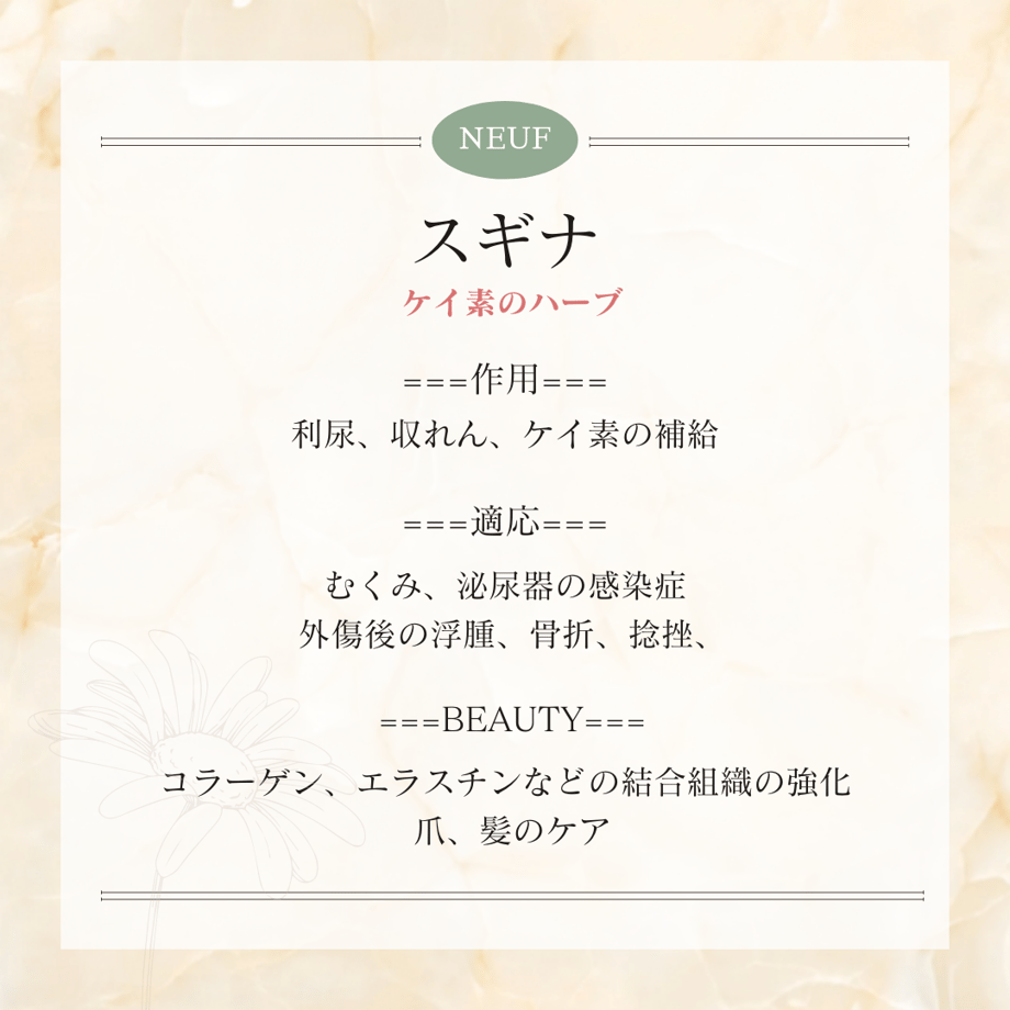 63d492c8fd12d1338491a1dd