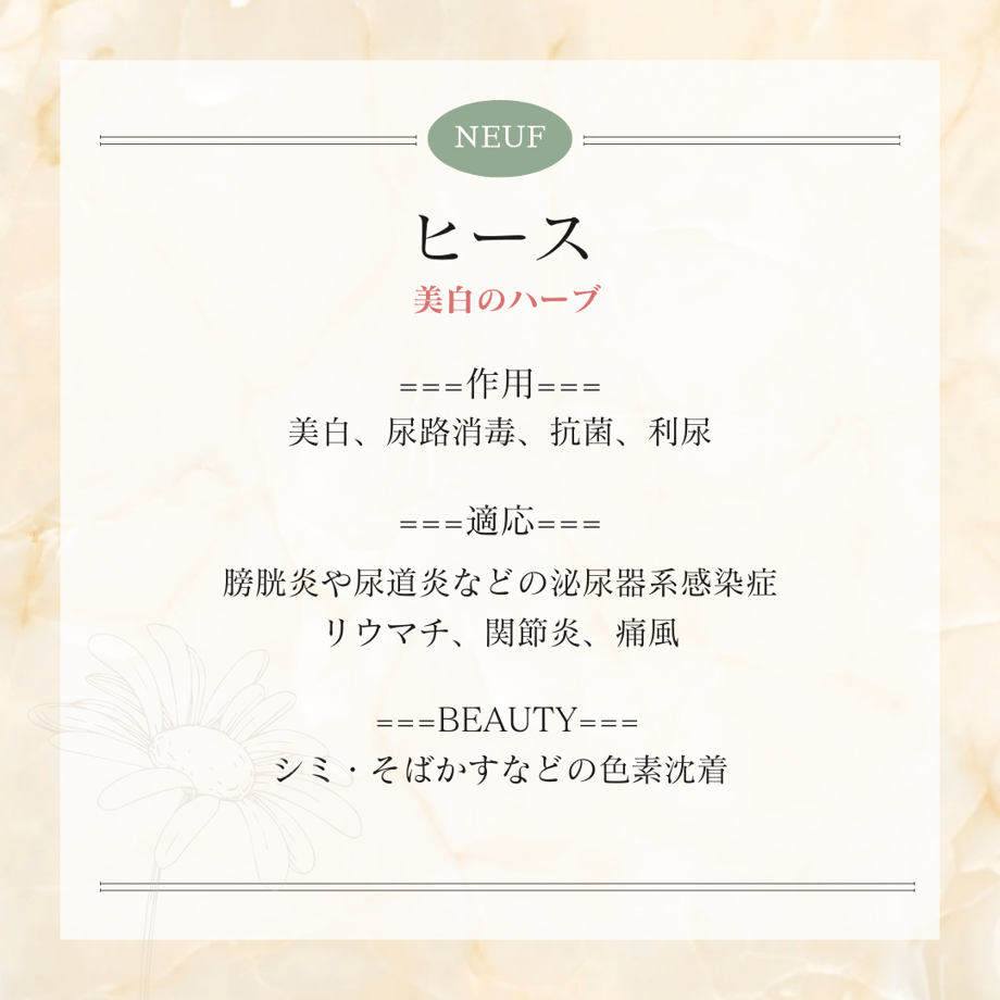 63d492c8fd12d1338491a1dd
